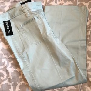 Powder Blue Brand Stretch Crop Pants Sz 12
